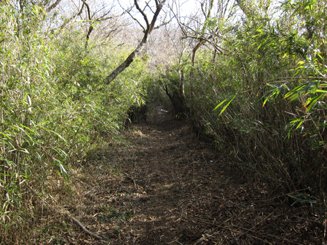 20200122hike (160)